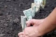 У скільки оцінили волинську землю