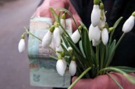 За що на Волині штрафуватимуть продавців квітів