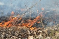 На Волині за тиждень «приборкали» 35 пожеж