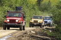 Скандальне «сафарі» на Волині: активіст «злив» імена головних учасників
