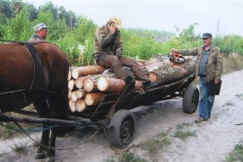 Альтернативні службовці розкрадають на Волині ліси, - ЗМІ