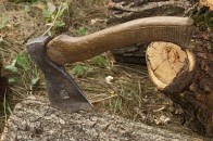 На Волині лісокради нарубали лісу на понад 13 тисяч гривень