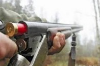 У лісах поблизу Луцька незаконно полюють на диких тварин ВІДЕО