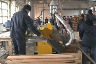 На Волині виготовлятимуть щепу у промислових обсягах