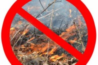 На Волині б’ють на сполох через спалювання сухостою