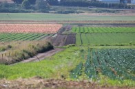 Шацька райспоживспілка 10 років не платила за орендовану землю