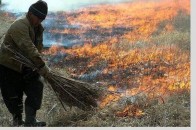 На Волині палія спіймали на «гарячому»