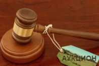 Понад 4 тисячі гектарів волинських земель пустять з молотка