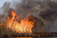 Спалювання сухостою на Волині набуває масштабів стихійного лиха