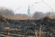 Як луцькі «буратіни» за копійки прибрали до рук 3 гектари землі в самісінькому центрі міста