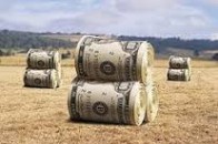 Волинь: 120 мільйонів у селянський гаманець
