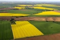 Скільки на Волині приватизували земельних ділянок