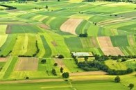 Родинам волинських героїв Небесної сотні надали земельні ділянки