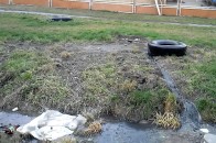 Через забруднену річку селам поблизу Луцька загрожує екологічна катастрофа ВІДЕО