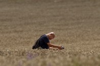 Захід в Україні воює за чорнозем, - огляд іноЗМІ