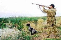 На Волині зловили єгеря, який займався браконьєрством, - активісти