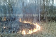 Волинянина покарають за те, що палив над дорогою траву