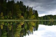 Рада хоче звільнити заповідники і нацпарки від сплати земельного податку