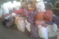 Волиняни зібрали на «бандерівські» борщі майже 4 тонни овочів ФОТО
