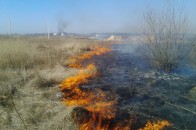 Поблизу Луцька горіло 4 гектари поля