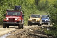 Учасникам скандального «волинського сафарі» спишуть кримінал