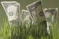 Посадовці з Волині незаконно передали в ореду землю вартістю майже 6 мільйонів