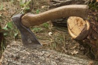 Двох волинян-лісокрадів затримали «на гарячому»