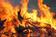 Волинь у вогні:  рятувальники ліквідували 20 загорань