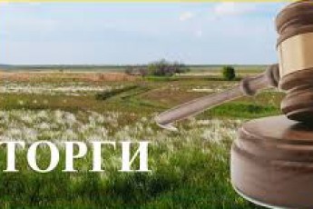 Земельні аукціони на Волині: які ділянки у квітні виставлять на торги