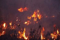 Невідомі у Луцьку підпалили Гнідавське болото
