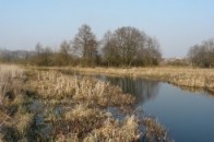 У Луцьку цукровий завод спустив воду з хімічними речовинами в річку