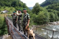 Волиняни все частіше незаконно перетинають держкордон