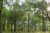 З Волині спрямували допомогу для відновлення зруйнованої інфраструктури Донбасу