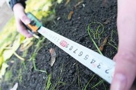 Цьогоріч на Волині зареєстрували вже майже 7 тисяч земельних ділянок