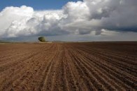 У селі на Волині не хочуть полякам давати в оренду землю