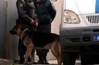 У луцькому парку зарізали чоловіка ОНОВЛЕНО ВІДЕО