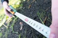 На Волині посадовці розбазарювали селянські землі