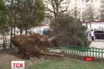 Шквальний вітер у Львові мало не вбив людей металевою конструкцією ВІДЕО
