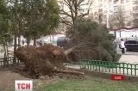 Шквальний вітер у Львові мало не вбив людей металевою конструкцією ВІДЕО