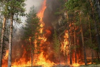 На Великодні свята горіли волинські ліси