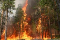 На Великодні свята горіли волинські ліси