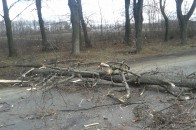 З бюджету Нововолинська на ліквідацію наслідків негоди виділили 50 тисяч гривень