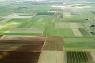 Волиняни протягом березня заплатили землевпоряднкам понад 100 000 гривень