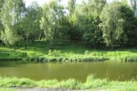 Кінець амбітним планам: суд не дозволив Покровському будівництво житлового комплексу в парку біля Сапалаївки