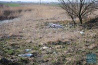 Стихійні сміттєзвалища заполонили княже місто на Волині ФОТО