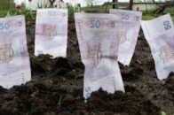 Цьогоріч на Волині вже зібрали понад 36 мільйонів за оренду землі