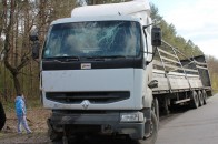 На Волині у кювет злетіла вантажівка, яка перевозила курей ФОТО