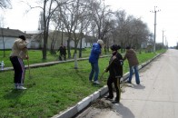 Волиняни матимуть більше можливостей отримати тимчасову роботу