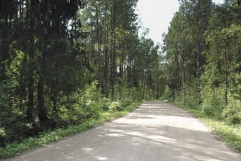 На Волині розбудовують лісові дороги