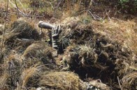 Партизани ліквідували офіцера ФСБ під Успенкою